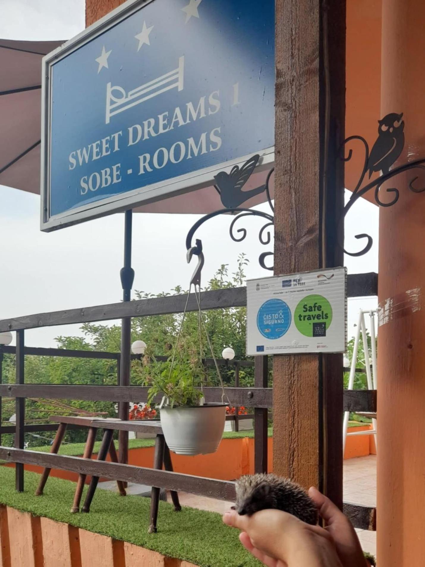 Sweet Dreams Apartamento Zaječar Exterior foto